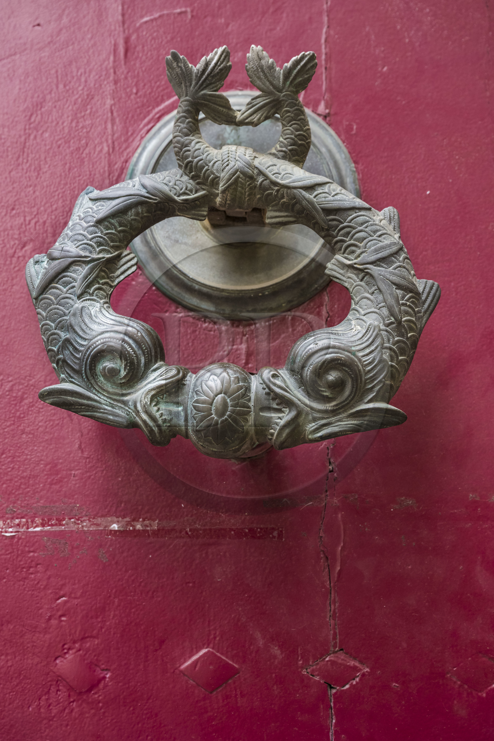 France, Herault, Montpellier, historic center called the Ecusson, knocker on the door of the Hotel of the Royal Society of Sciences dating from the end of the 17th century