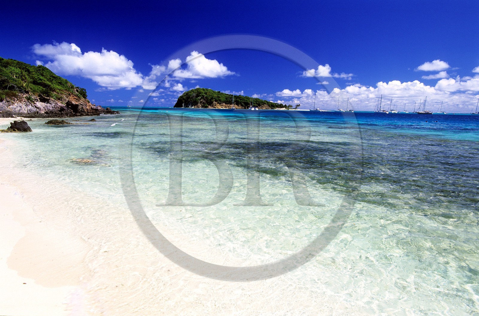 Caraïbes, Saint-Vincent et les Grenadines, archipel des Tobago Cays, plage d'une petite île inhabitée