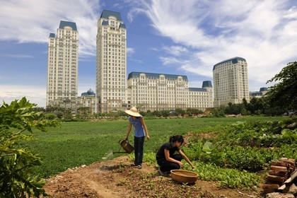 Vietnam, Hanoï, quartier de Cau Giay, nouveaux immeubles de luxe The Manor construit dans des anciennes rizières