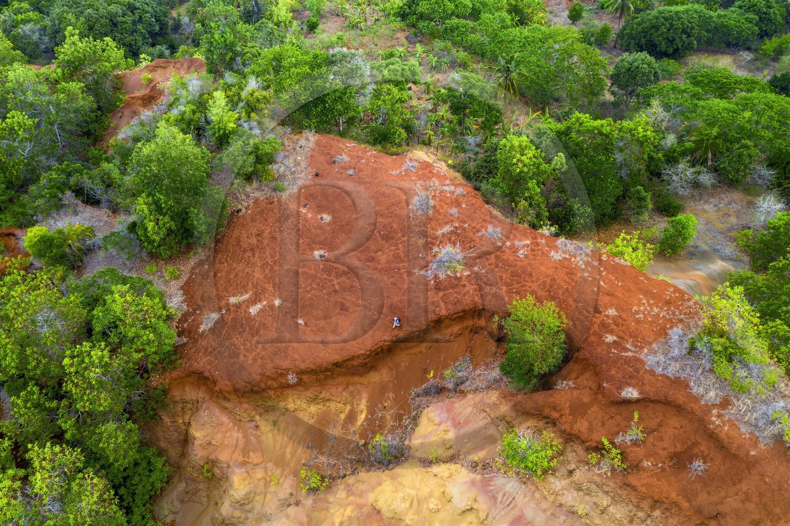 France, Ile de Mayotte, Grande-Terre, Mbouini, les Padzas de Dapani, zones déforestées et ravinées avec des sols rougeatres (vue aérienne)