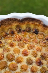 France, Home-baked mirabelle tart