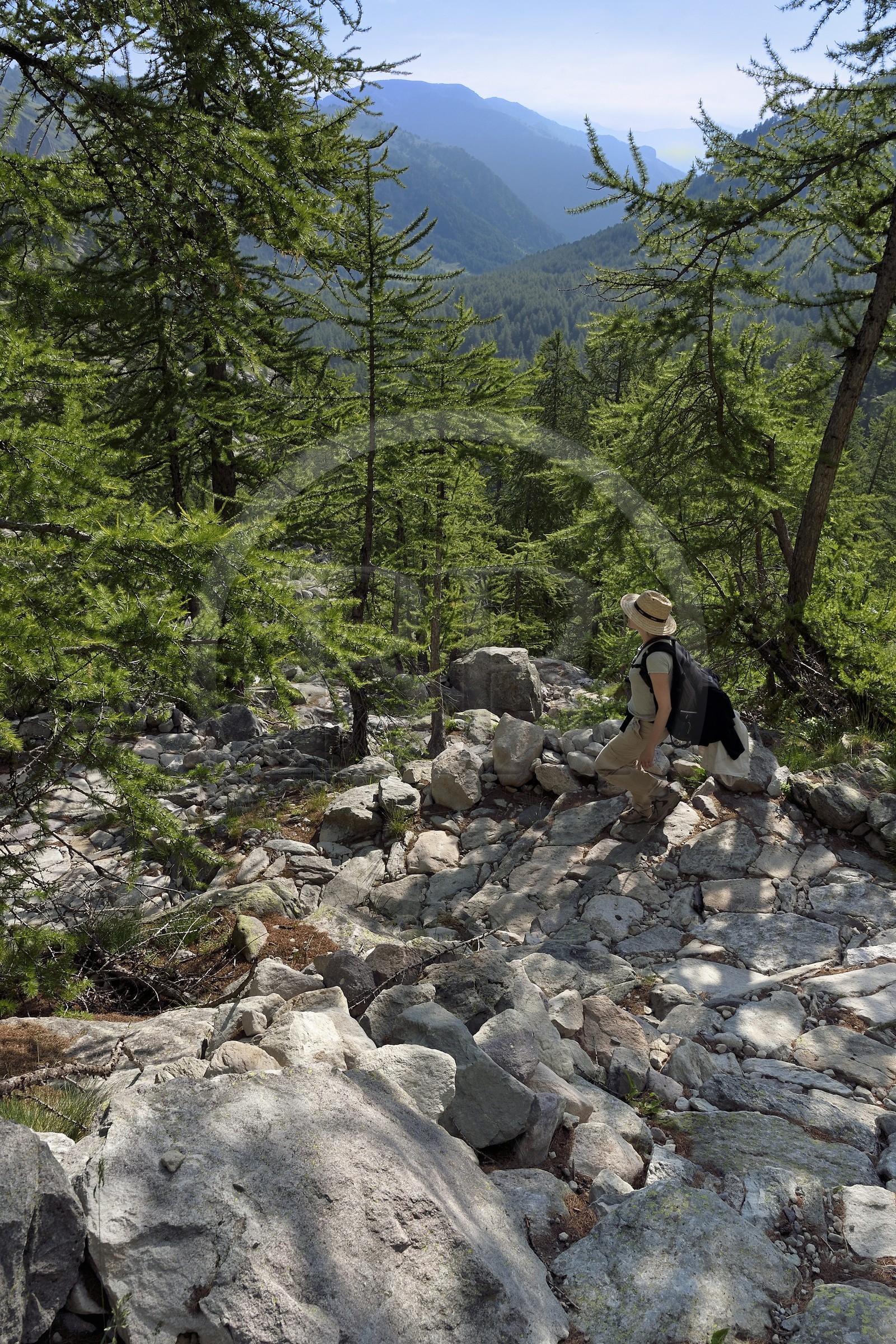France, Alpes-Maritimes, parc national du Mercantour (Mercantour National Park), vallon de la Minière (Miniere valley) below the Vallee des Merveilles (Valley of Wonders), trail on the slopes of Mount Bego