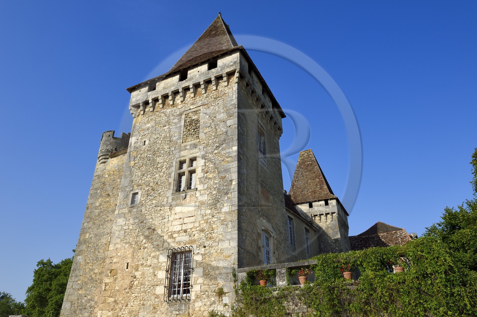 France, Dordogne, Périgord Vert, Saint Jean de Cole, labelled Les Plus Beaux Villages de France (The Most beautiful Villages of France), Marthonye or Marthonie castle