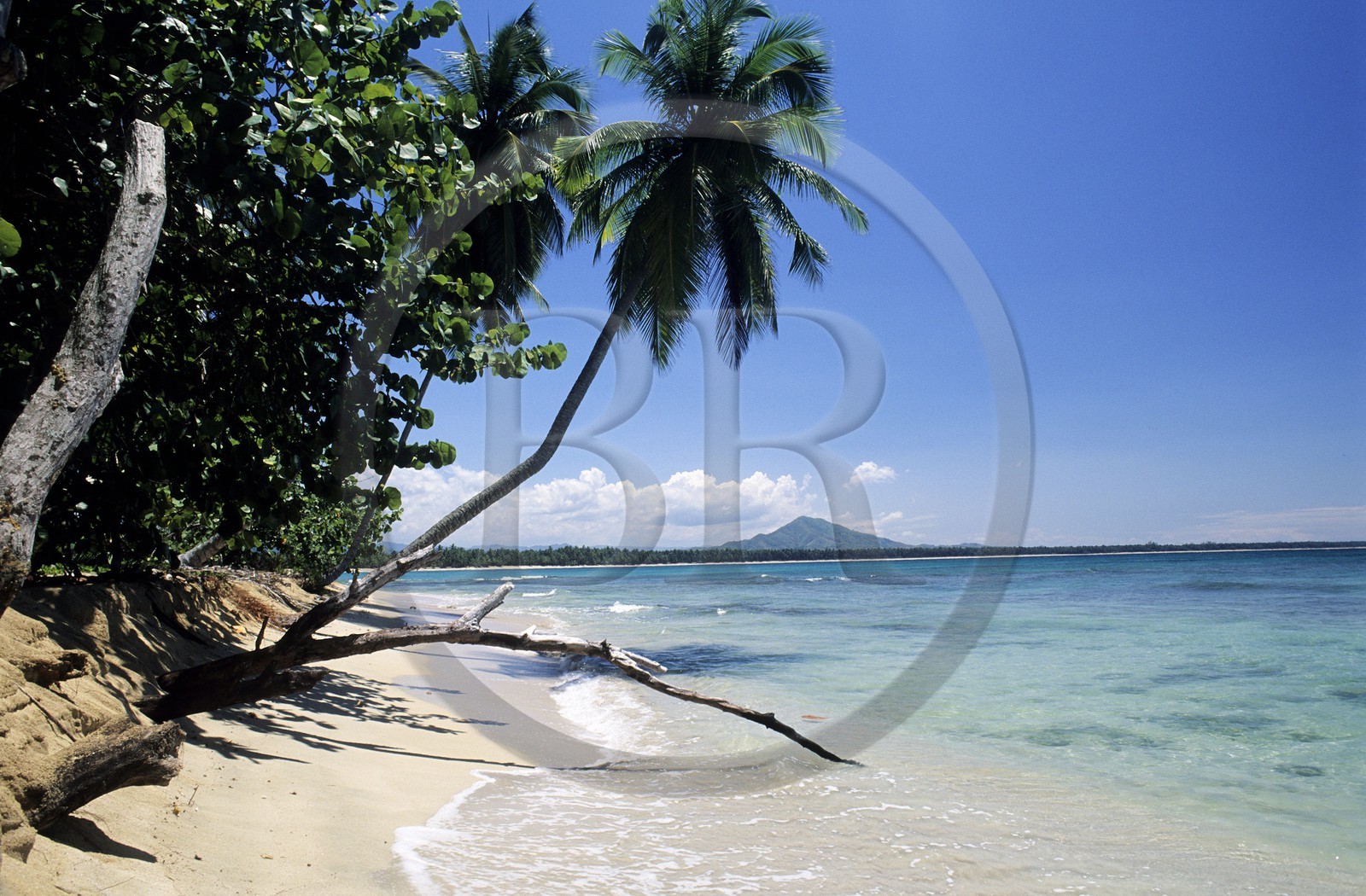 République Dominicaine, péninsule de Samana, plage sauvage et déserte El Limon près de Miches