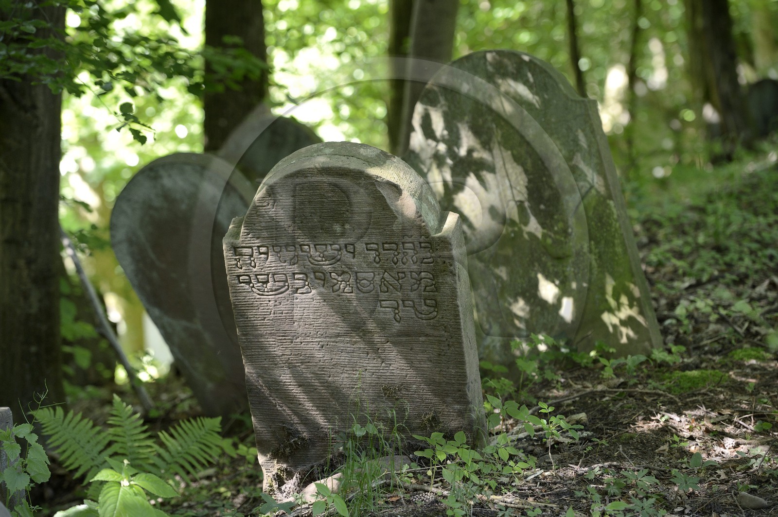 France, Bas-Rhin (67), Saverne, ancien cimetière juif
