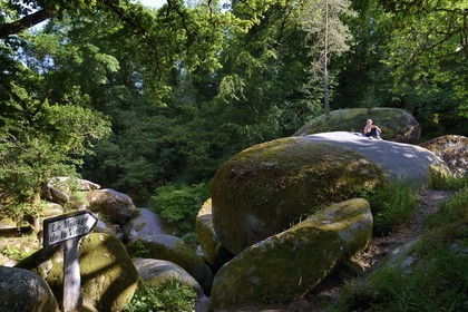 France, Finistère (29), parc naturel régional d'Armorique, Huelgoat, chaos granitique de la forêt du Huelgoat, lieu dit Le Ménage de la Vierge