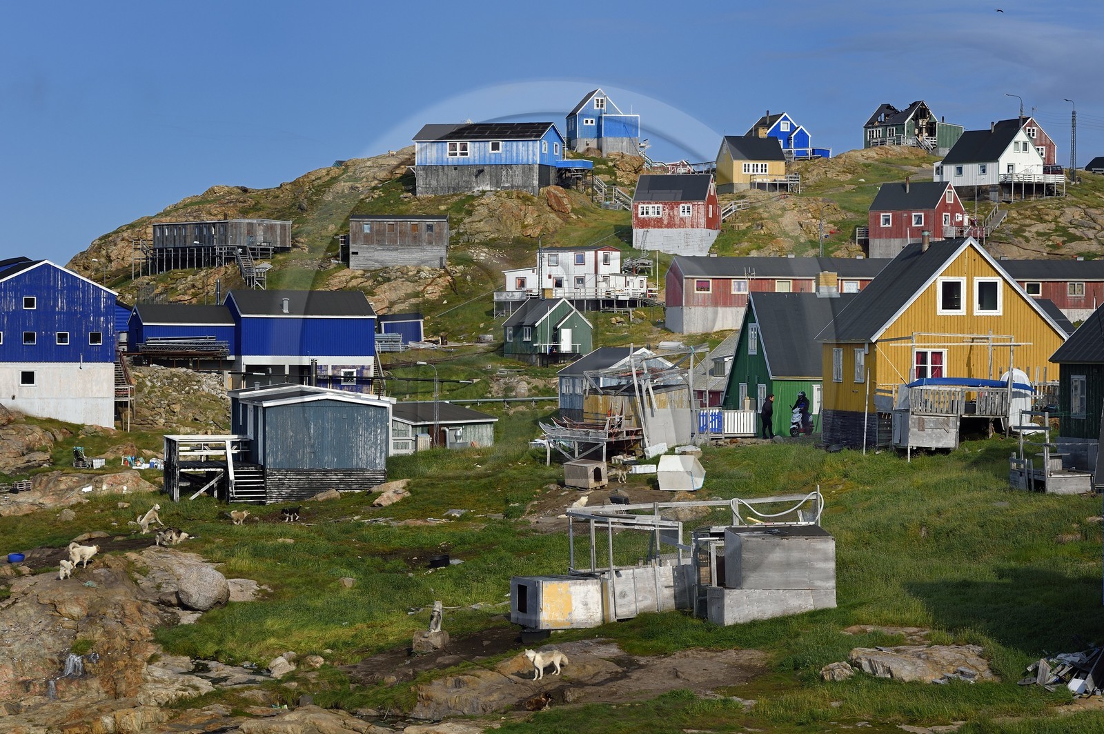 Groenland, cote ouest, baie de Baffin, maisons en bois d'Upernavik et chiens de traineau