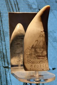 France, Var, Saint-Tropez, 16th century citadel, Museum of St. Tropez Maritime History, sperm whale tooth engraved by a sailor of the whaling ship Georges