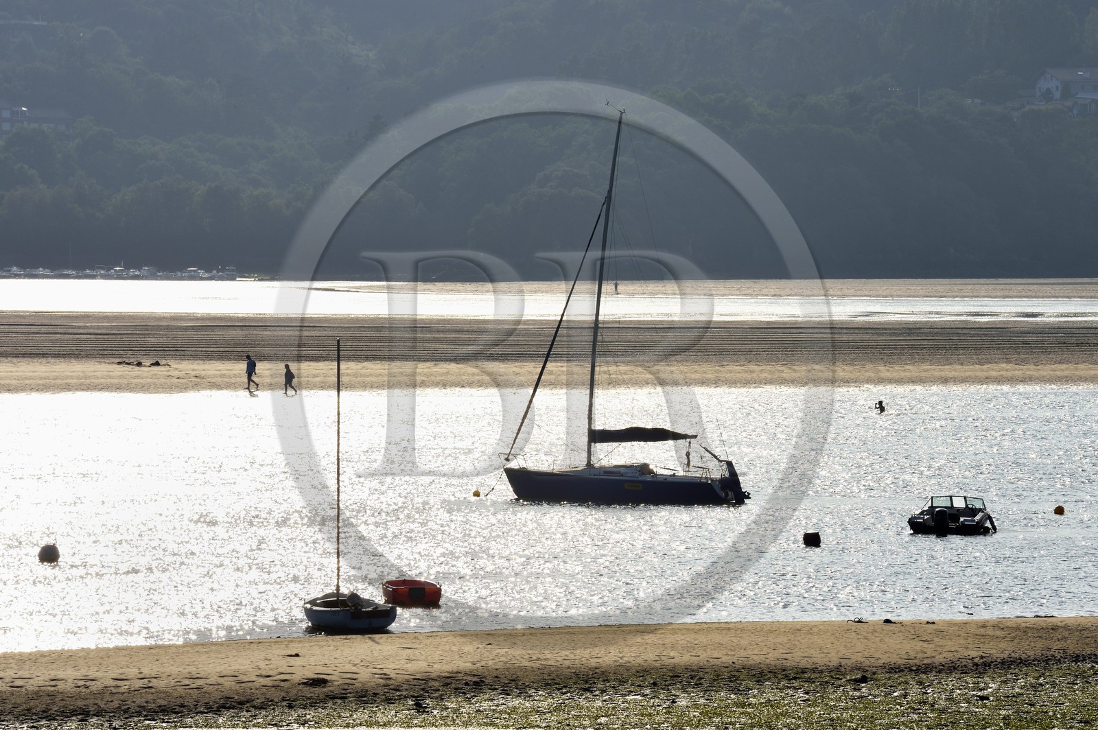 Espagne, Pays basque espagnol, Biscaye, région de Gernika-Lumo, Réserve de biosphère d'Urdaibai, estuaire du fleuve Oka à marée basse au sud de Mundaka, petit mouillage de Laida
