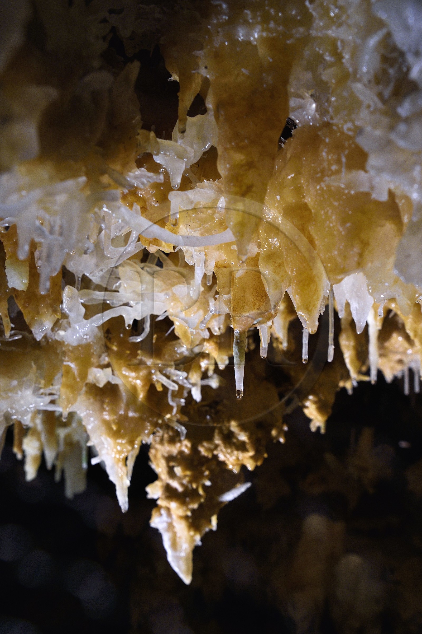 France, Dordogne (24), Périgord Noir, Les Eyzies-de-Tayac, site classé Patrimoine Mondial de l'UNESCO, enchevetrement de cristallisations dans la grotte du Grand-Roc