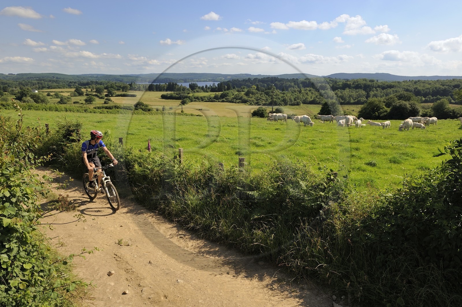 France, Nièvre (58), lac des Settons, découverte à vélo