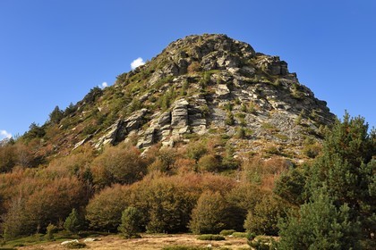 France, Ardèche (07), parc naturel régional des Monts d'Ardèche, Massif du Mézenc, le Mont Gerbier-de-Jonc (suc de 1551 m) où la Loire trouve sa source