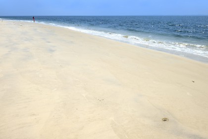 Gabon, Estuaire Province, crab on the Pointe Denis beach facing Libreville on the other side of the estuary of the Gabon