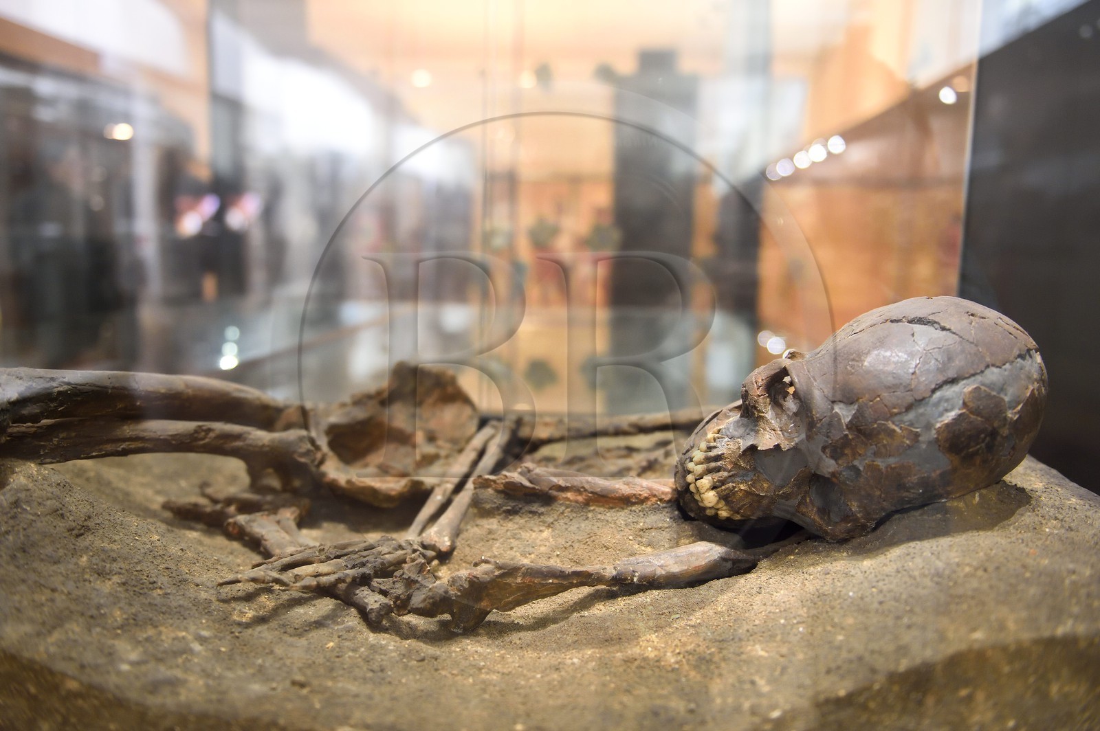France, Dordogne (24), Périgord Noir, vallée de la Vézère, Les Eyzies-de-Tayac-Sireuil, site classé Patrimoine Mondial de l'UNESCO, Musée National de la Préhistoire, double sépulture de Qafzeh (Israël) 9 et 10 d'Homo sapiens sapiens datant des environs de 100000 ans BP