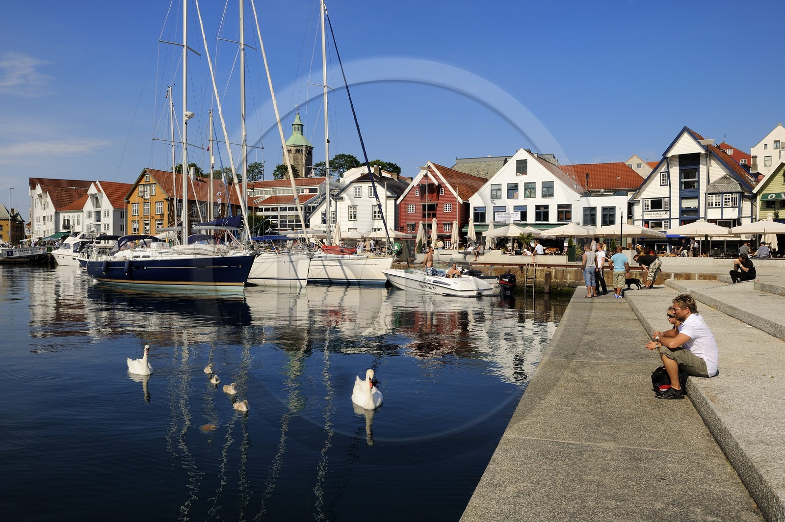 Norvège, Rogaland, Stavanger, bateaux de plaisance et cygnes dans le vieux port (Vagen)