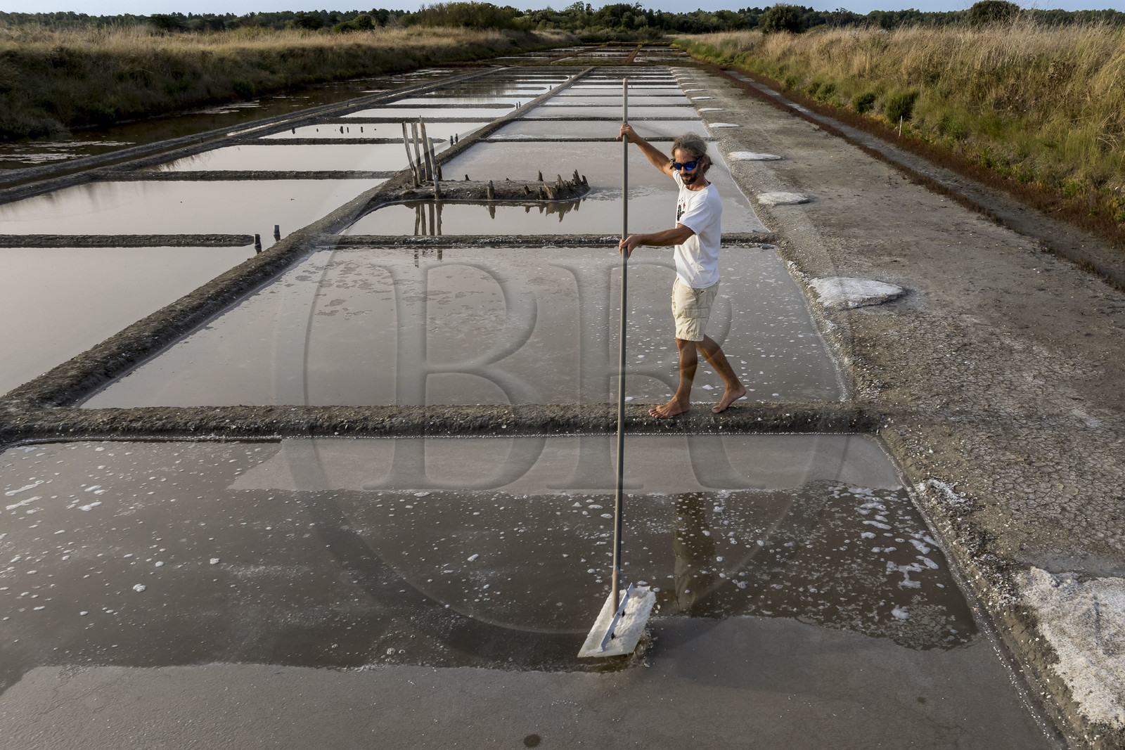 France, Charente Maritime, Oleron island, Saint Georges d'Oléron, artisanal picking of flower of salt by salt worker Samuel Barbereau