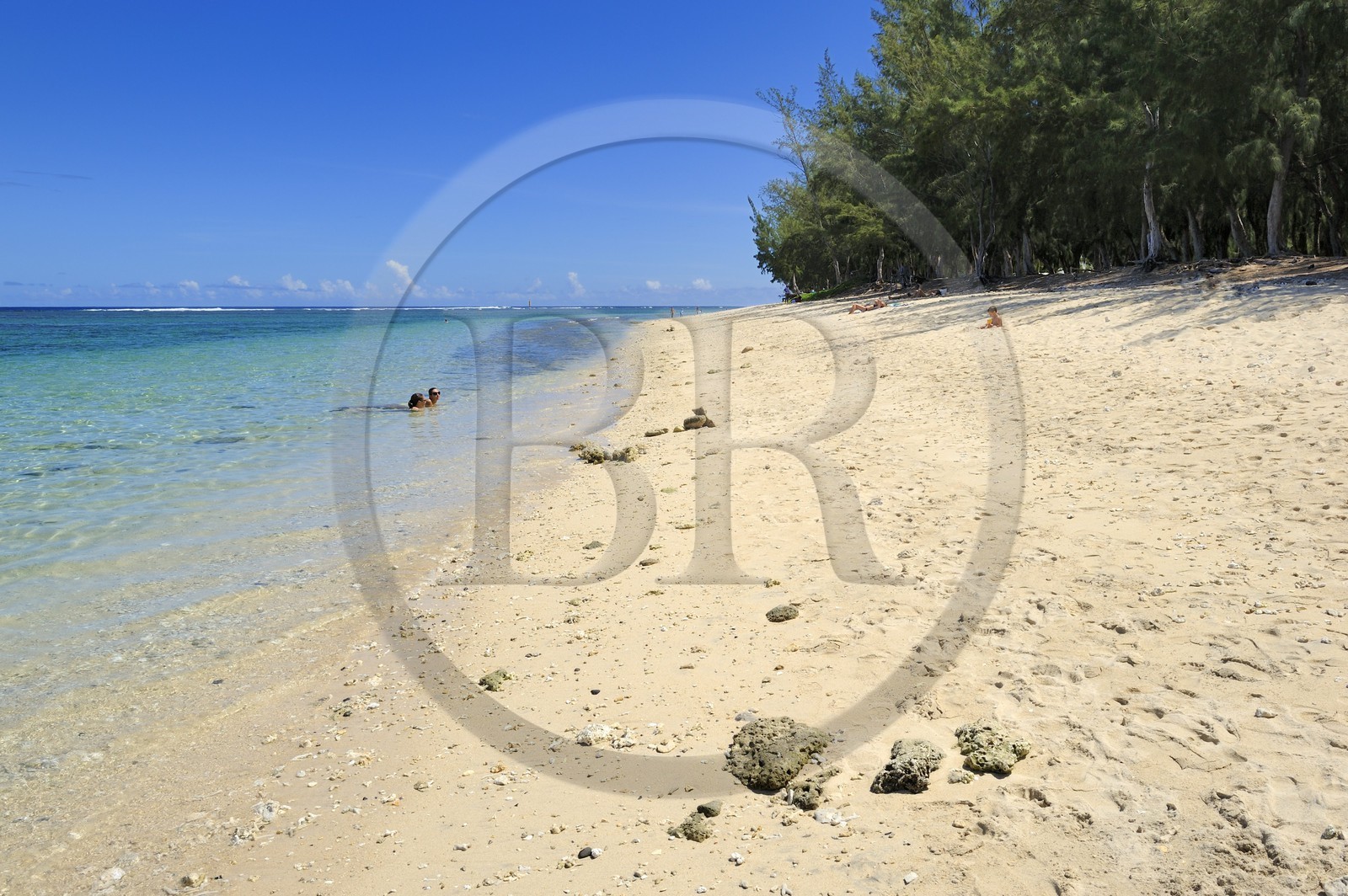 France, île de la Réunion, la Cote Ouest, plage du lagon de Saint-Gilles-Les-Bains à l'Ermitage-les-Bains et filaos