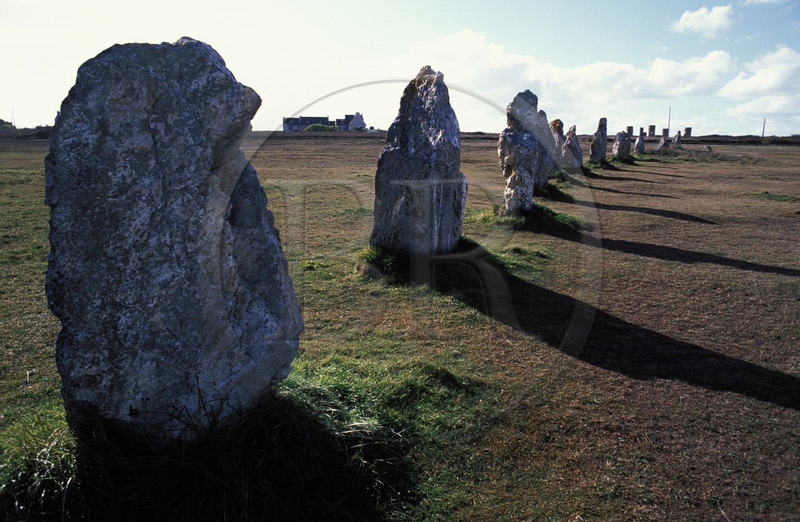 France, Finistère (29), Presqu'île du Crozon. les alignements de menhirs de Lagatjar
