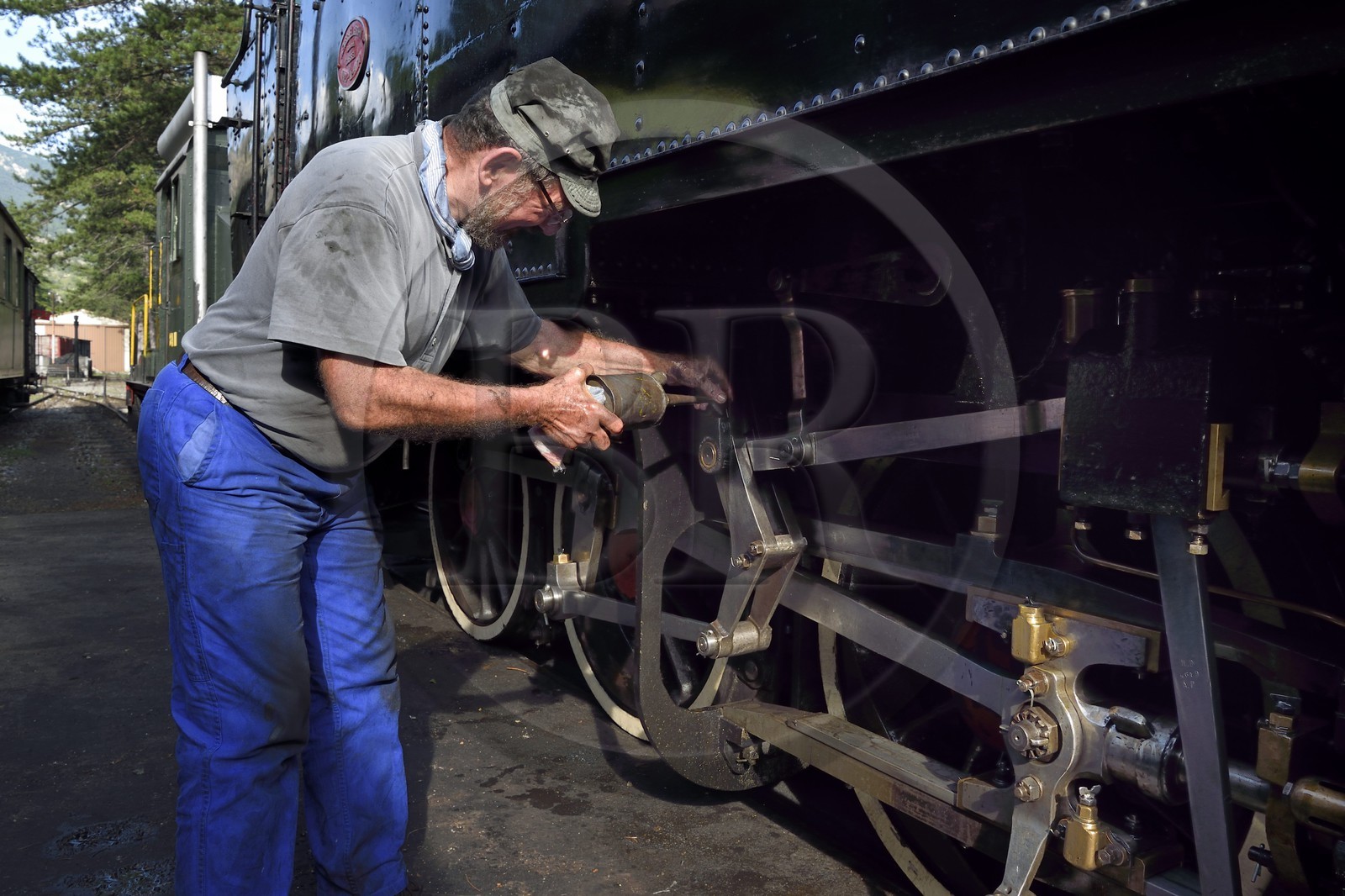 France, Alpes-Maritimes (06), Puget Théniers, le Train des Pignes, locomotive en chauffe, opération de graissage de l'embiellage