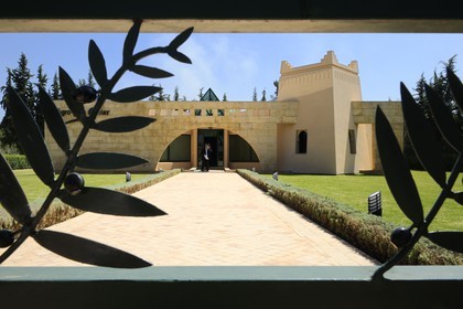 Morocco, Meknes Tafilalet Region, near Meknes, Agropole Olivier