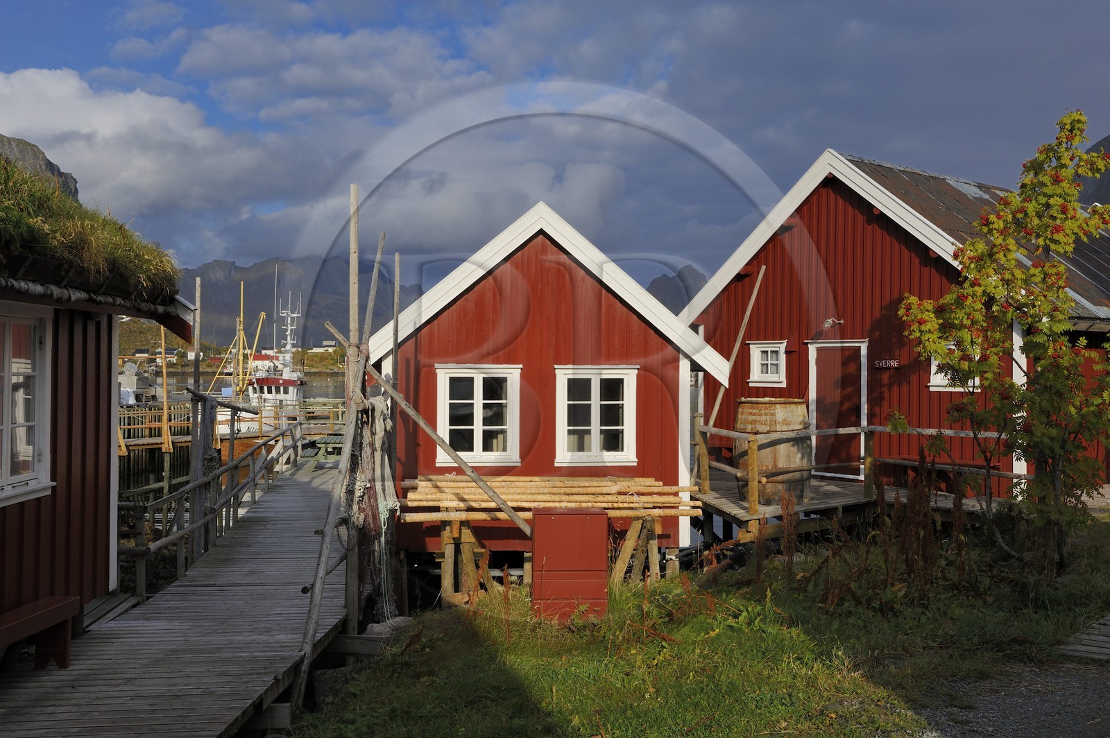 Norvège, Nordland, Iles Lofoten, ile de Moskenesoy, rorbue (maison de pêcheurs) dans le village de Reine
