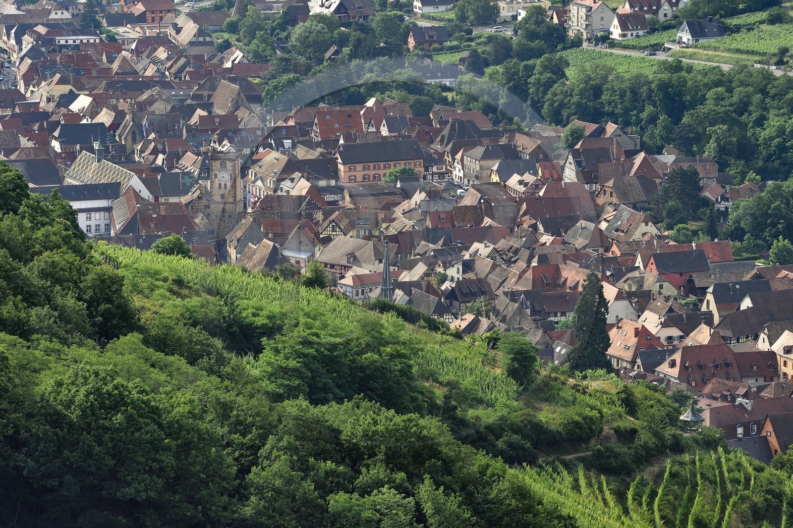 France, Haut Rhin, the Alsace Wine Route, Ribeauville