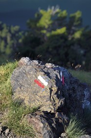 France, Hautes-Pyrénées (65), Saint-Lary-Soulan et Vielle-Aure, marque du sentier de randonnée du GR10 entre le col de Portet et les lacs de Bastan en bordure de la réserve naturelle de Néouvielle