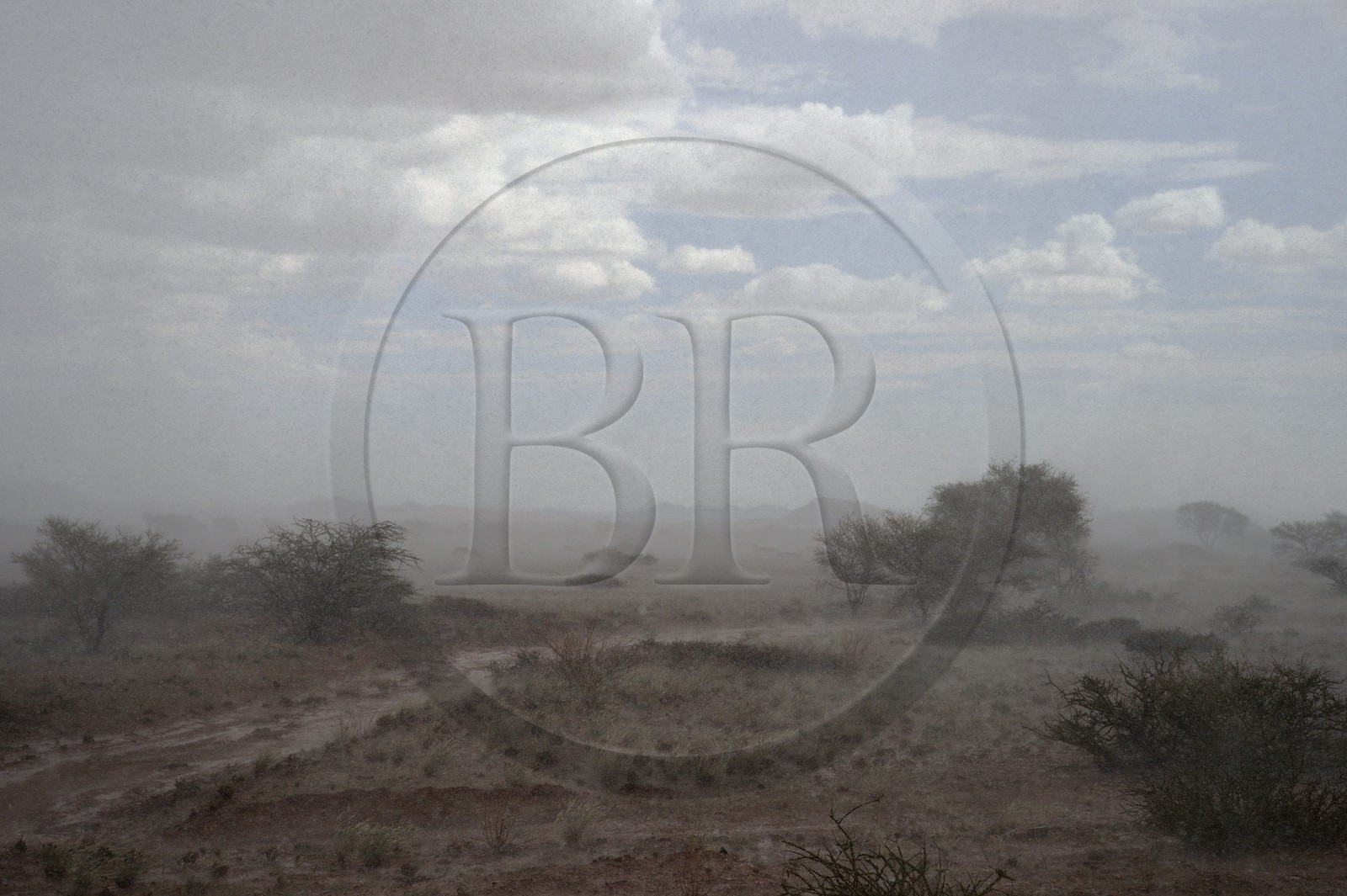 Namibie, région de Khomas, désert du Namib à l'Est du parc national Namib Naukluft sous une pluie d'orage