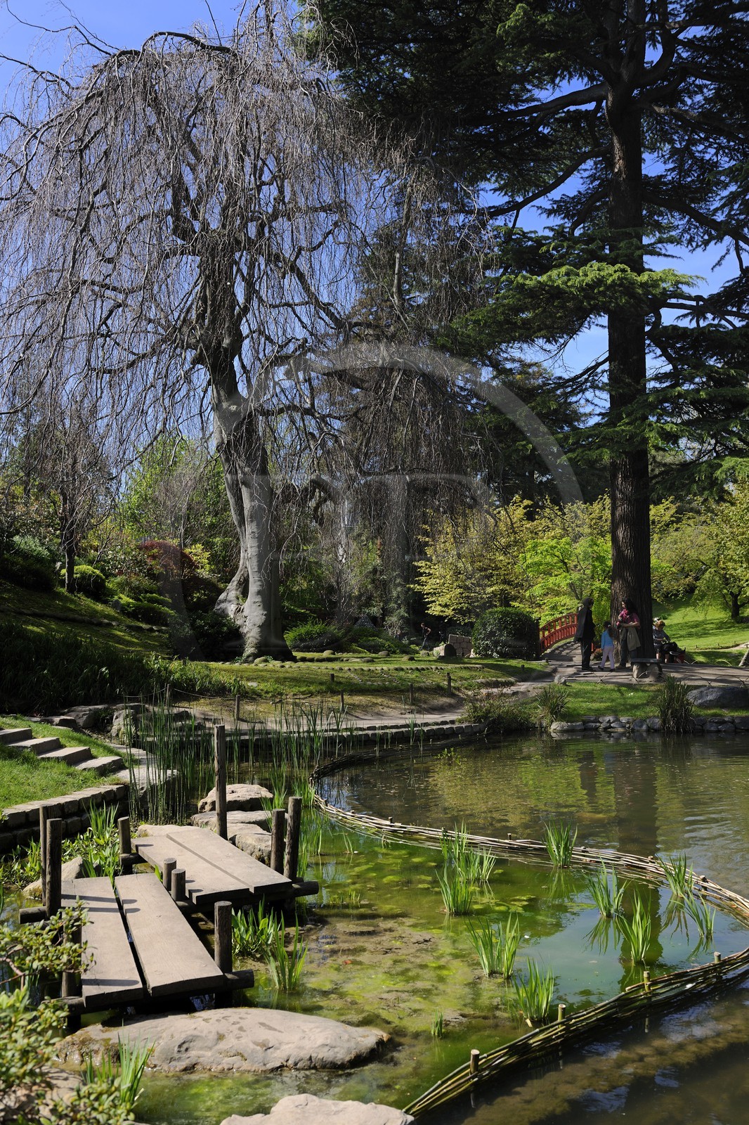 France, Hauts-de-Seine (92), Boulogne-Billancourt, le jardin japonais du musée départemental Albert-Kahn