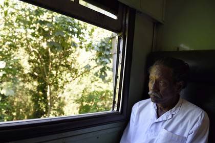 Sri Lanka, Province d'Uva, trajet en train dans la région montagneuse de la culture du thé entre Badulla et Ella
