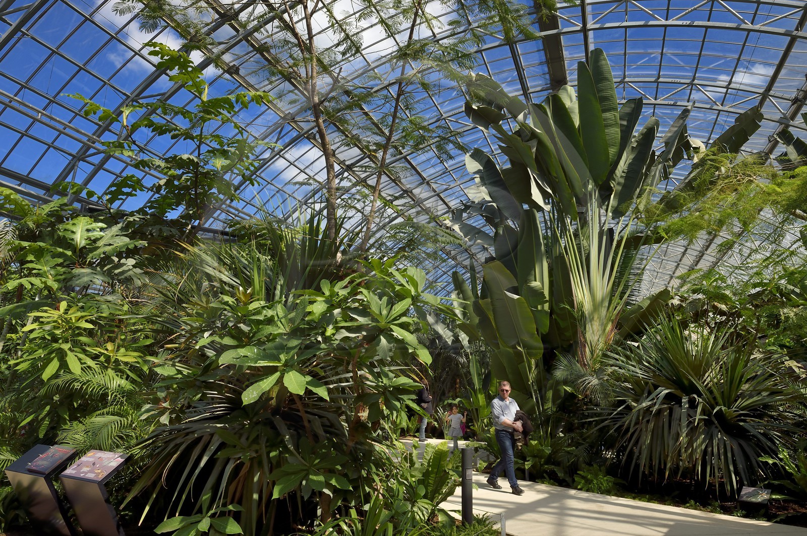 France, Paris (75), Le Parc zoologique de Paris (Zoo de Vincennes), restitution de la végétation tropicale dans la Grande Serre dans dans la biozone Guyane
