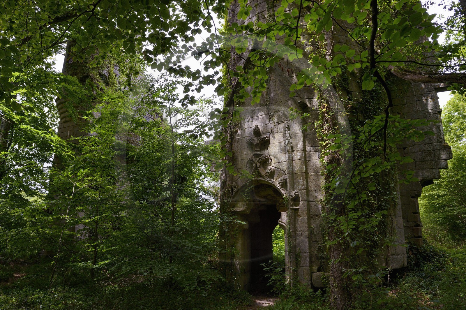 France, Finistere, Pont-Aven, Nizon, Rustephan castle, former manor house of the fifteenth and sixteenth century ruin