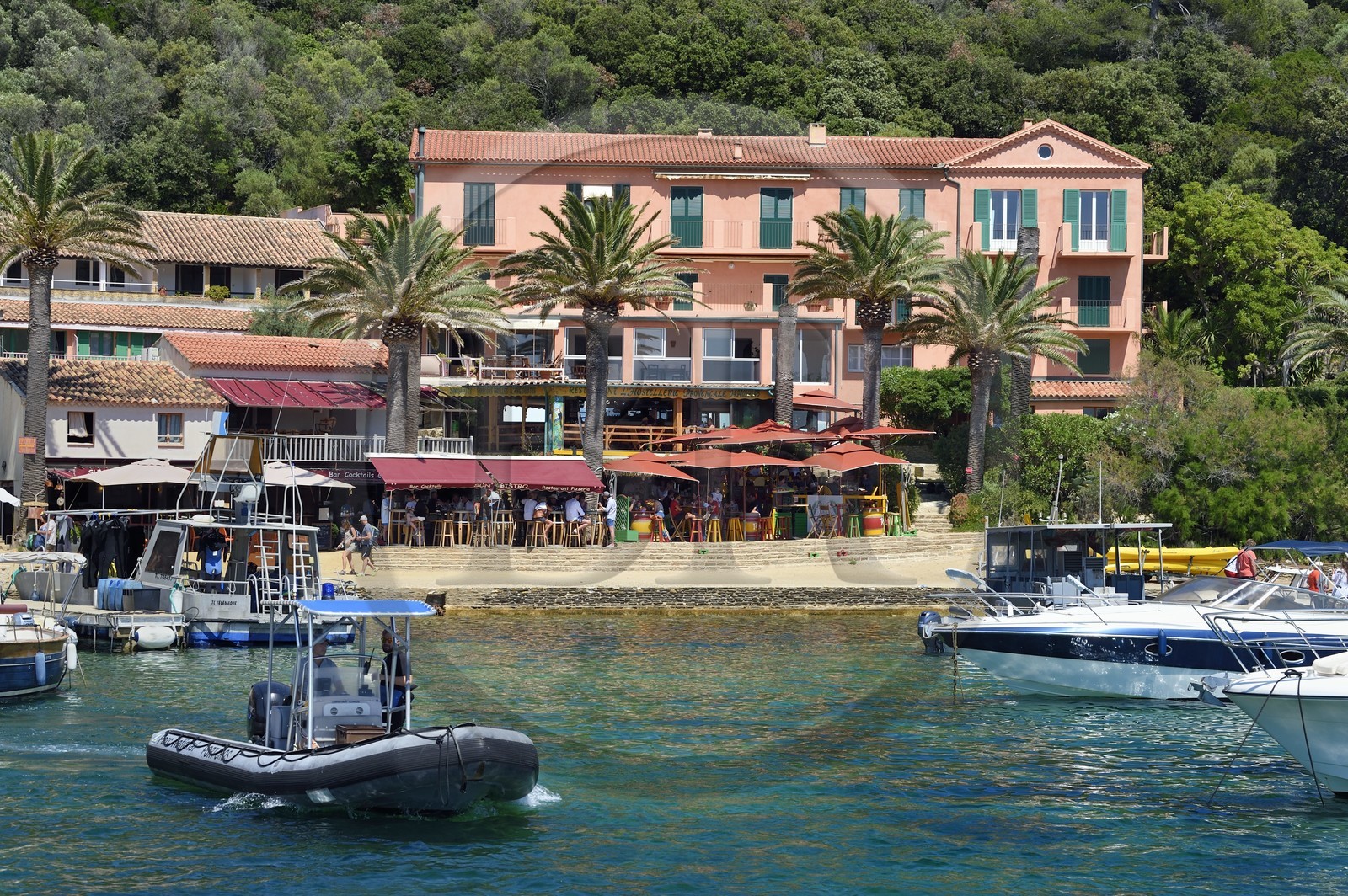 France, Var (83), Iles d'Hyères, parc national de Port Cros, Ile de Port-Cros, le port et village, départ d'une patrouille en zodiac du Parc