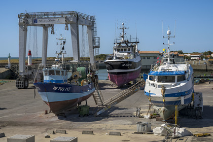 France, Charente Maritime, Oleron island, port of La Cotinière, flood basin built in 2022 at the foot of the new fish market