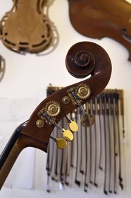 France, Dordogne (24), Périgord Blanc, Périgueux, atelier du luthier Damien Florio