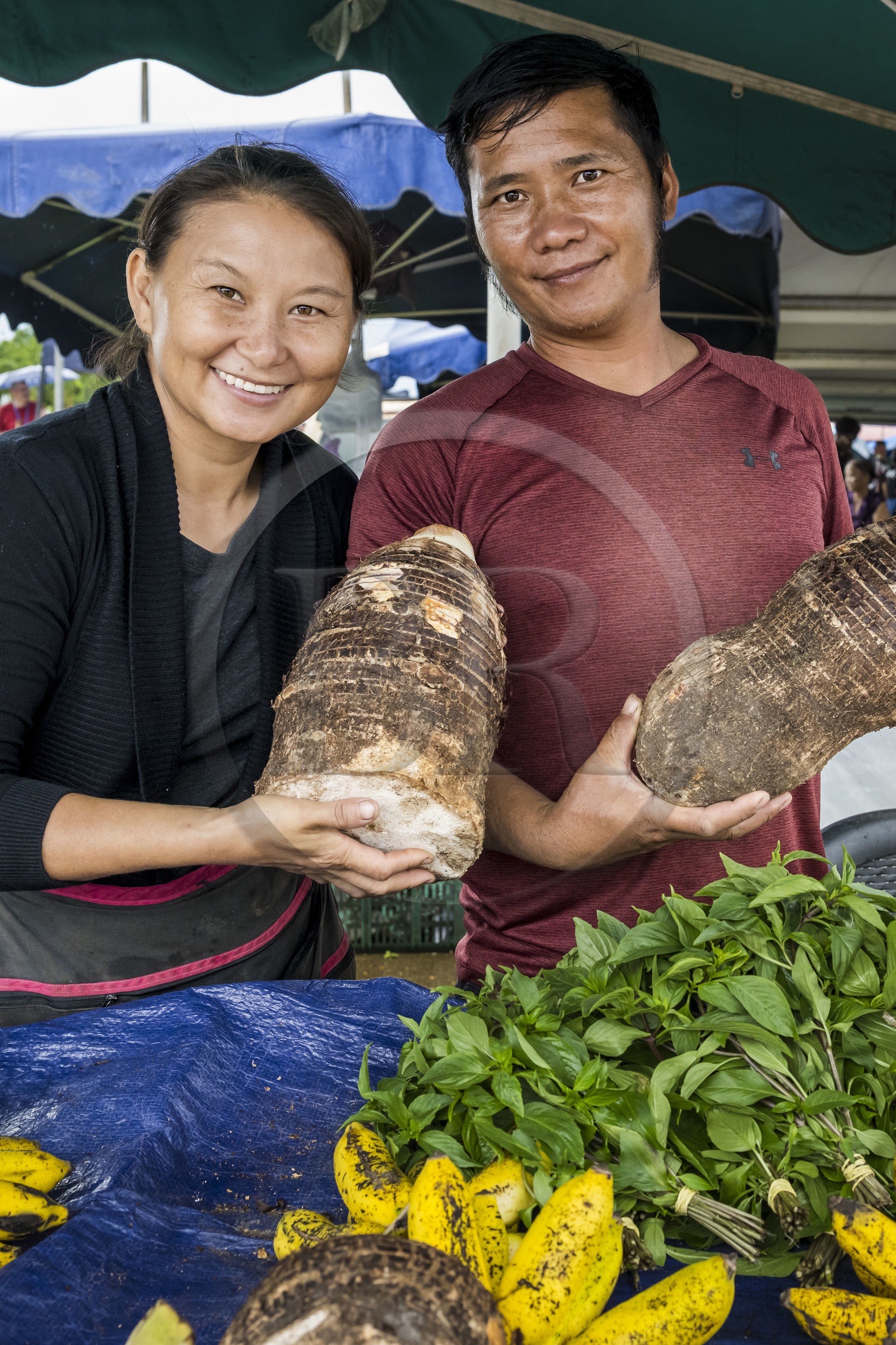 France, French Guiana, Javouhey, Sunday market Hmong refugees from Laos who arrived in 1978 and have specialized in fruit farming, Monica and her husband in front of their stall selling taro roots, Thai basil, and bananas