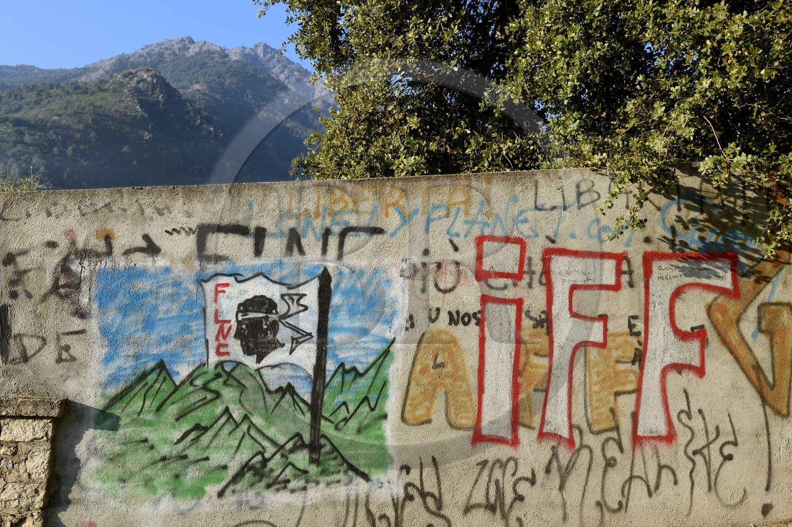 France, Haute Corse, Corte, separatist and political graffiti with the Moor's head emblem of Corsica