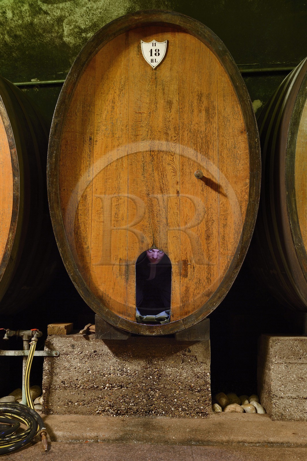 France, Bas Rhin, the Alsace Wine Route, Mittelbergheim, labelled Les Plus Beaux Villages de France (The Most Beautiful Villages of France), Domaine Wittmann wine cellar, the agricultural worker Anthony Frey in a large wine barrel for cleaning