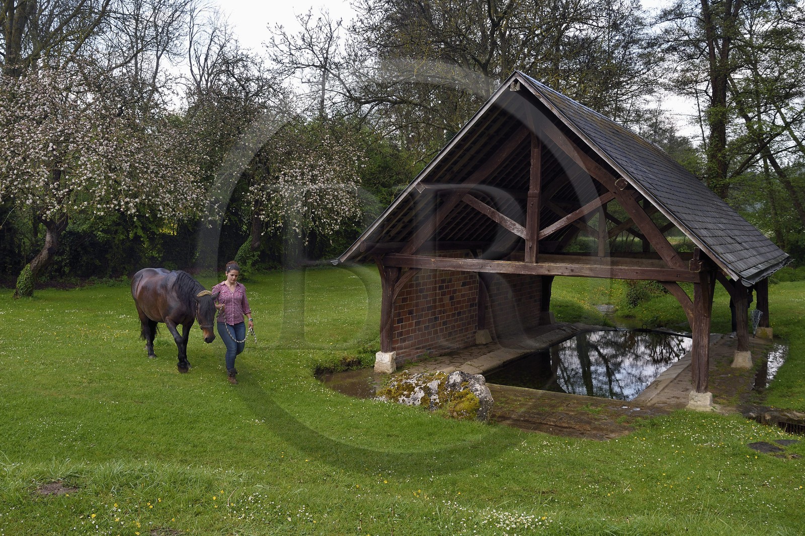 France, Yvelines, Montchauvet, the nineteenth century wash-house below the village, Claire Pilo