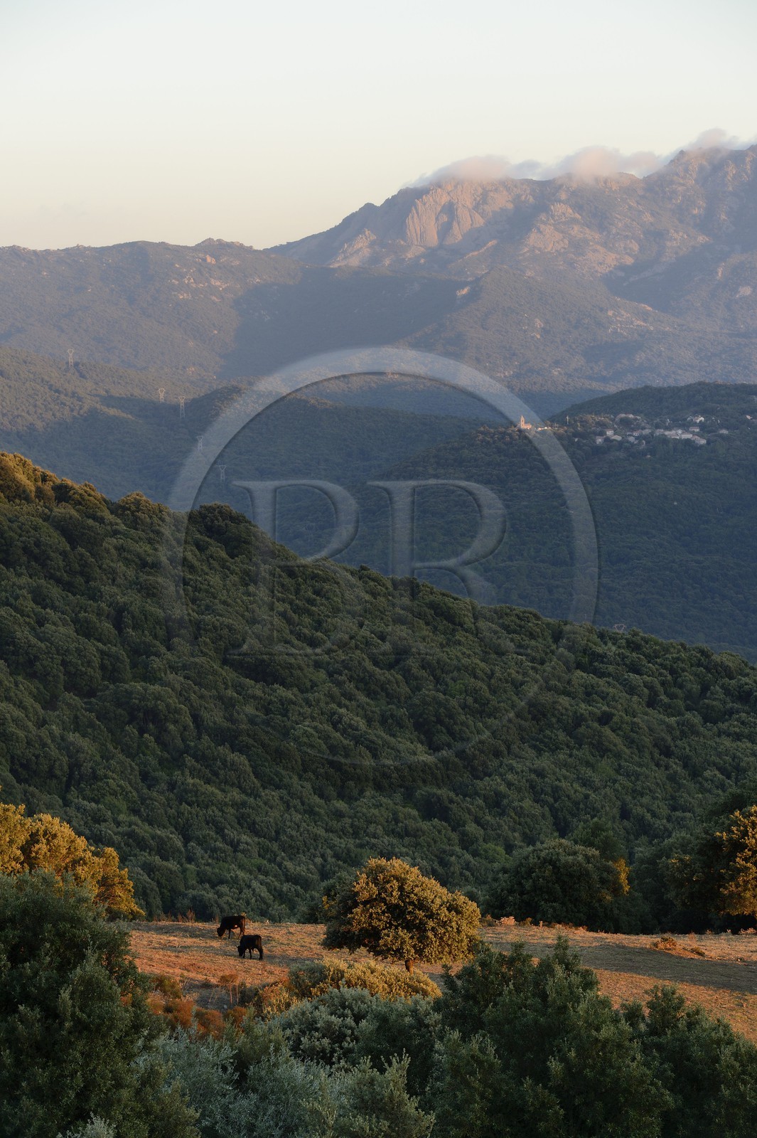 France, Corse du Sud, Alta Rocca, Fiumicicoli river valley and the village of Pantano in the background