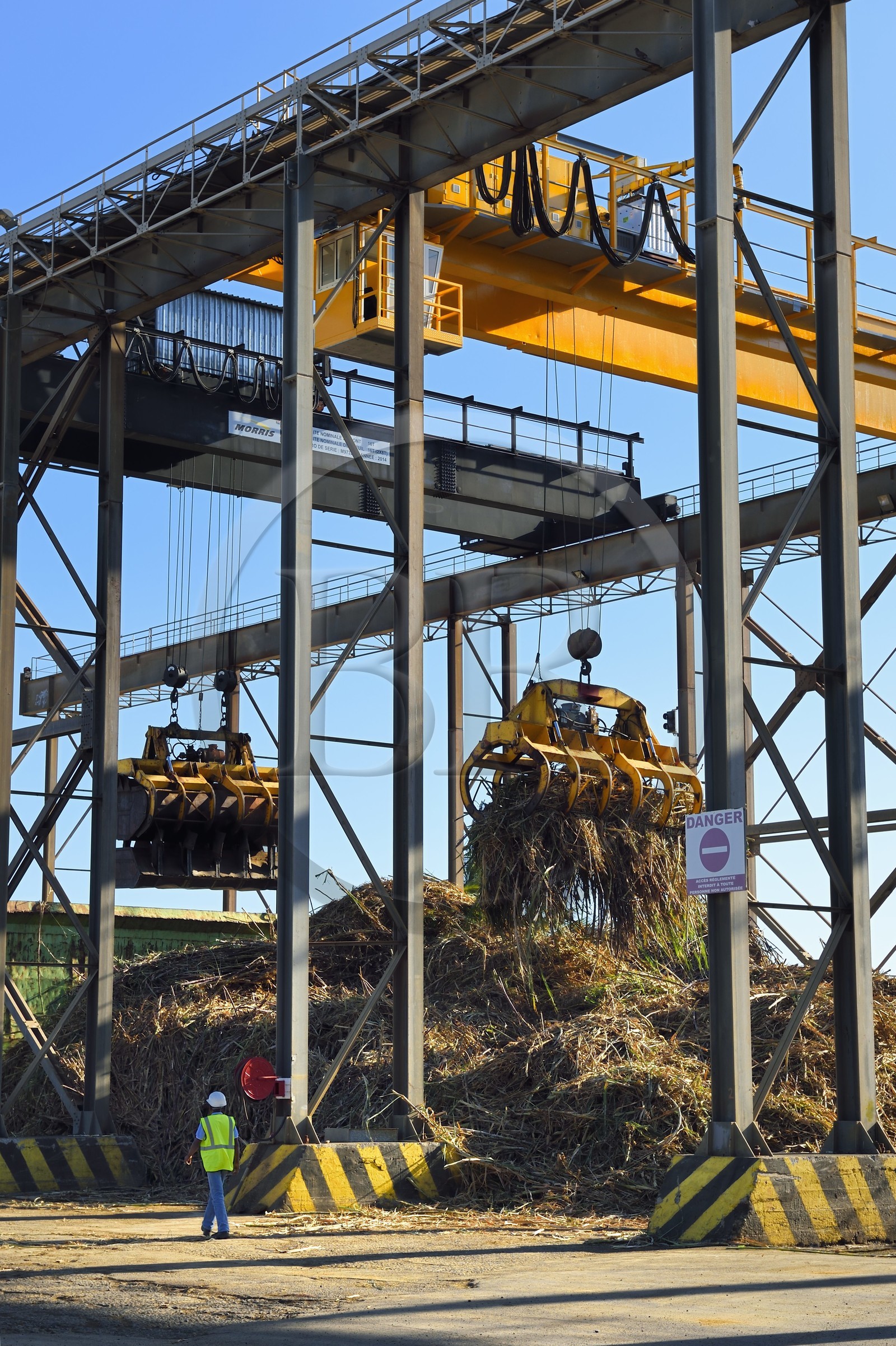 France, Ile de la Reunion, Saint-Pierre, Grands Bois, un des 11 centres de réception et de collecte de la canne à sucre aussi appelés Balance, les tracteurs amènent depuis les champs la canne dans des remorques, elle est ensuite pesée et chargée dans de grand camions appelés cachalots pour être acheminée vers l'usine sucrière du Gol