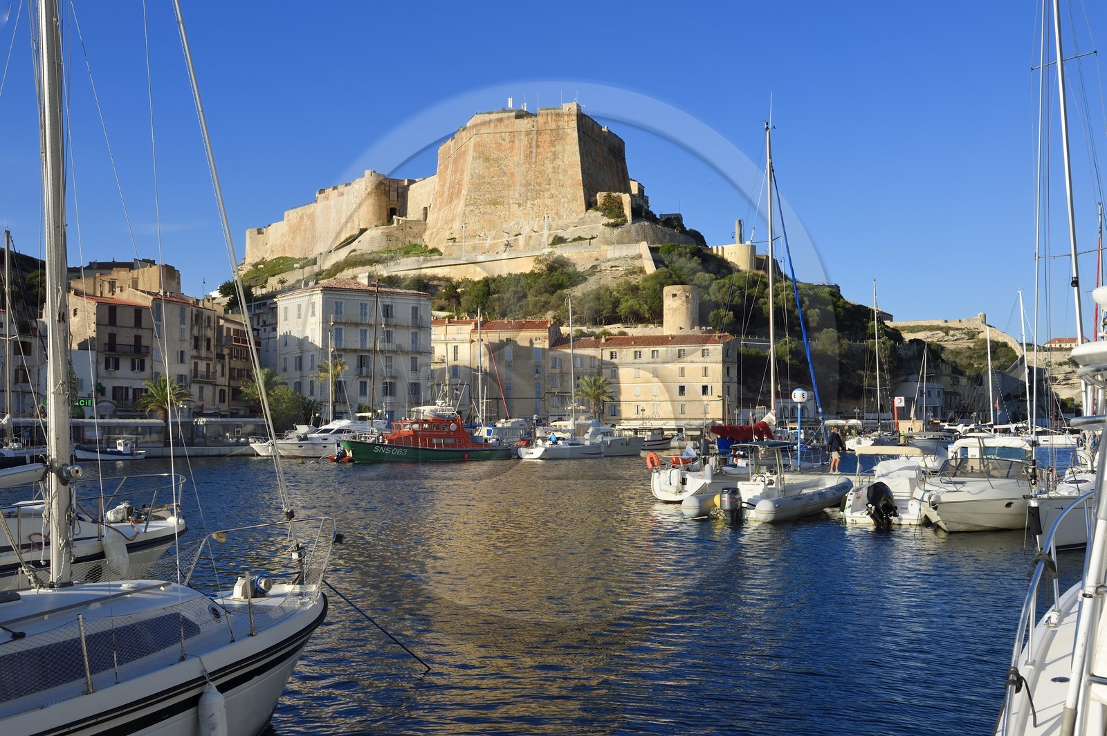 France, Corse-du-Sud (2A), Bonifacio, le port dominé par la citadelle dans la ville haute