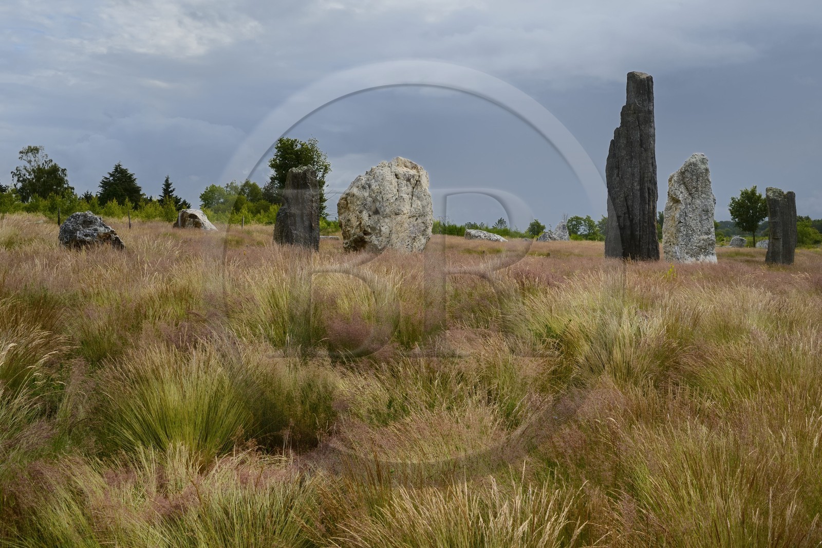 France, Ille-et-Vilaine, Saint-Just, megalithic monuments of the Lande de Cojoux