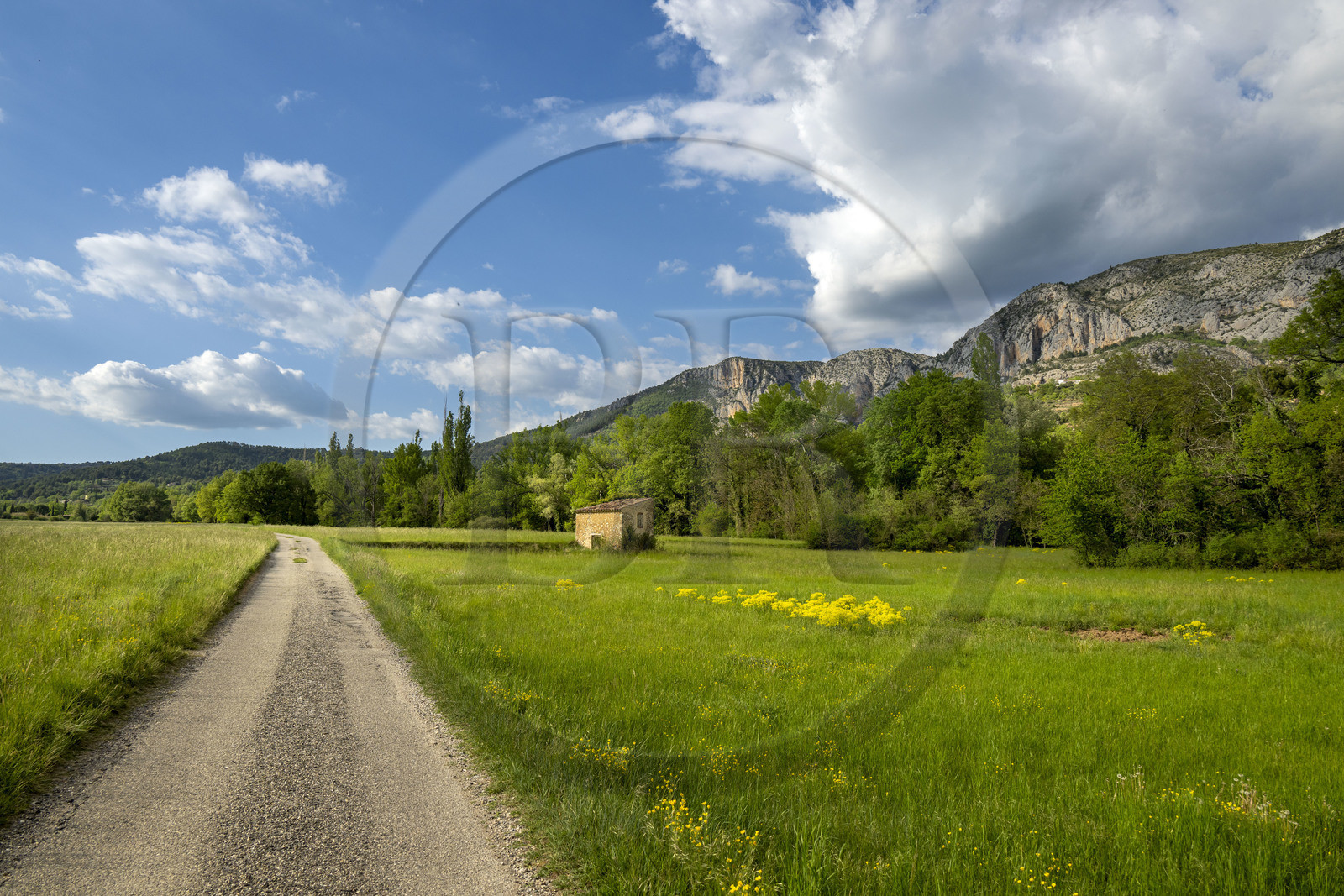 France, Alpes-de-Haute-Provence (04), Parc Naturel Régional du Verdon, route de campagne à Moustiers-Sainte-Marie, labellisé Les Plus Beaux Villages de France