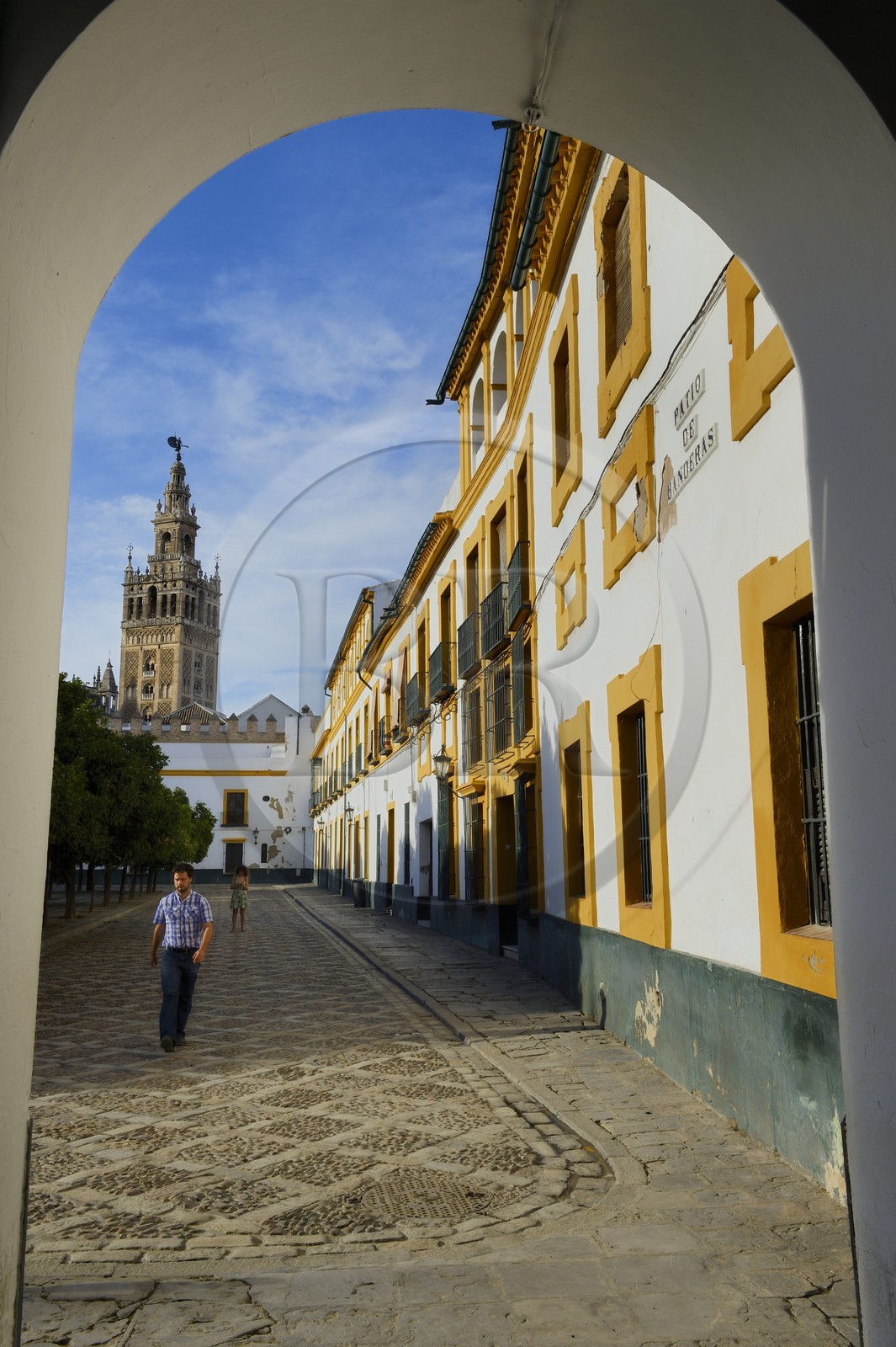 Espagne, Andalousie, Séville, la Giralda vue depuis la Cour des Drapeaux (Patio de Banderas)
