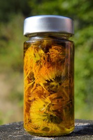 France, Vosges (88), Le Valtin, village de la haute-vallée de la Meurthe, huile d'Arnica fait maison au magasin bio les Herbes du Valtin