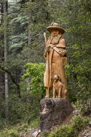 France, Vaucluse, Parc Naturel Regional du Mont Ventoux, Bedoin, bike ascent of Mont Ventoux by the D974 road on the southern slope, sculpture in a cedar trunk of the Shepherd and his Dog (2023) by the sculptor Jacques Marcy