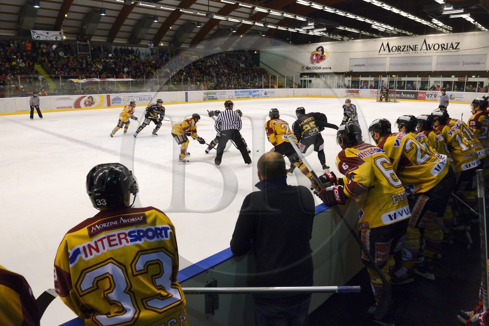 France, Haute-Savoie (74), Morzine, match de hockey sur glace du Hockey Club Morzine-Avoriaz appelé les Pingouins