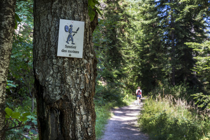 France, Hautes Alpes (05), Crots, randonnée en forêt domaniale de Boscodon sur le sentier des Moines