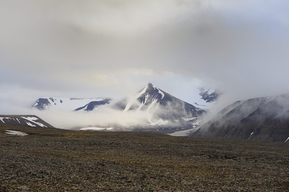 Norway, Svalbard (Spitzbergen), tundra in the region of Longyearbyen